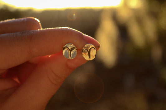 Zodiac Stud Earrings