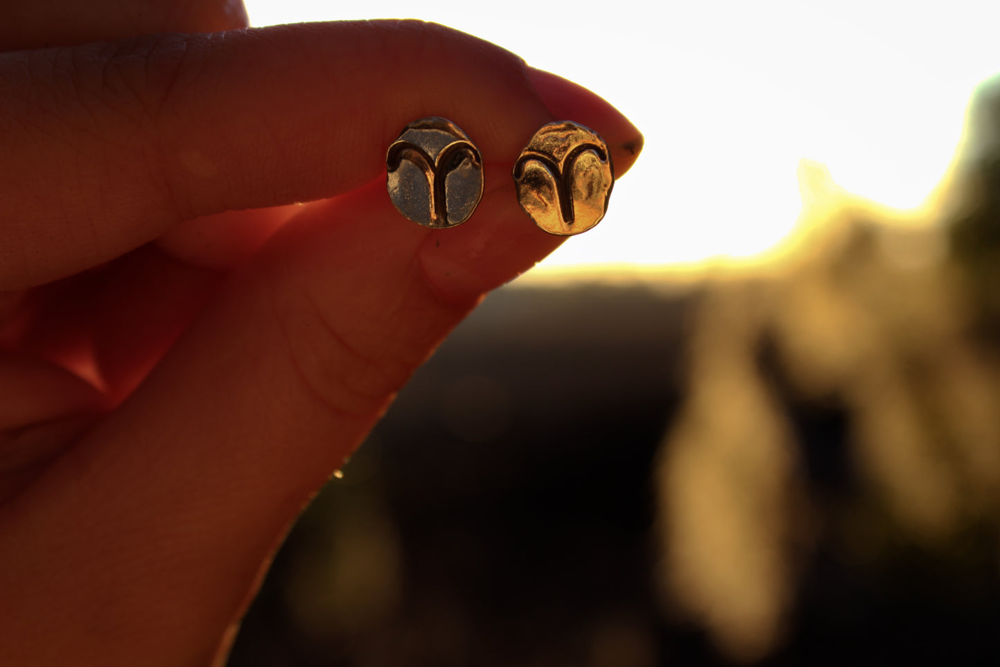 Zodiac Stud Earrings