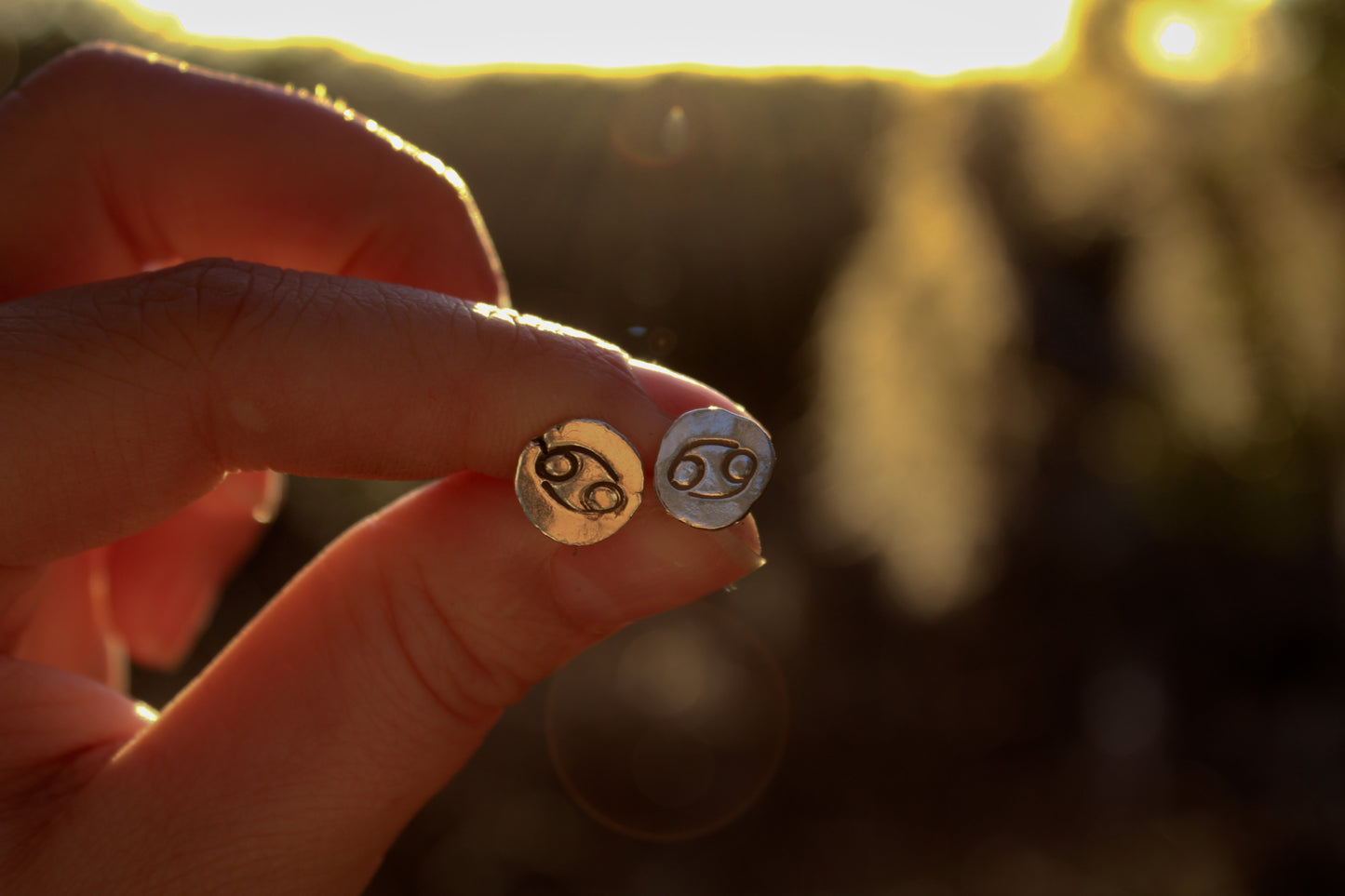 Zodiac Stud Earrings