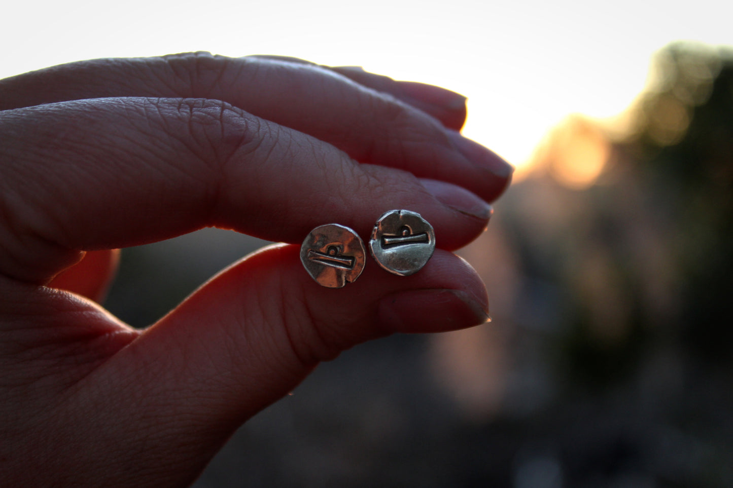 Zodiac Stud Earrings