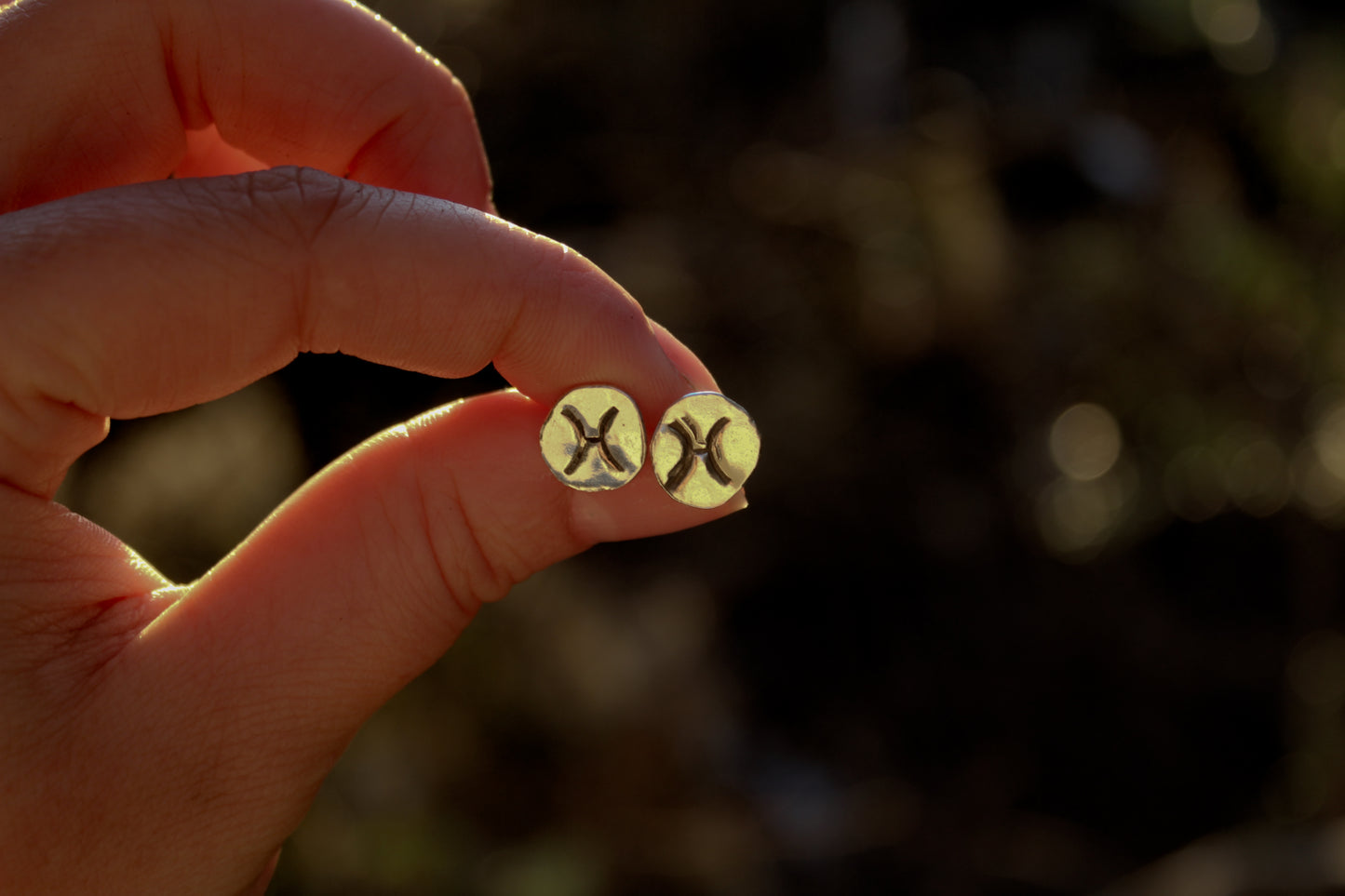 Zodiac Stud Earrings