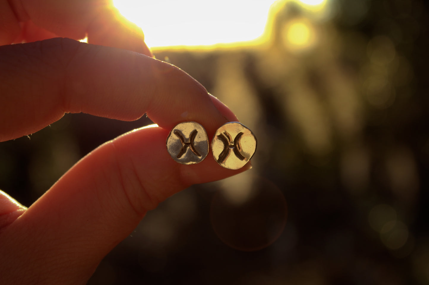 Zodiac Stud Earrings