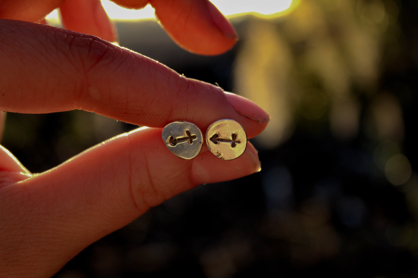 Zodiac Stud Earrings