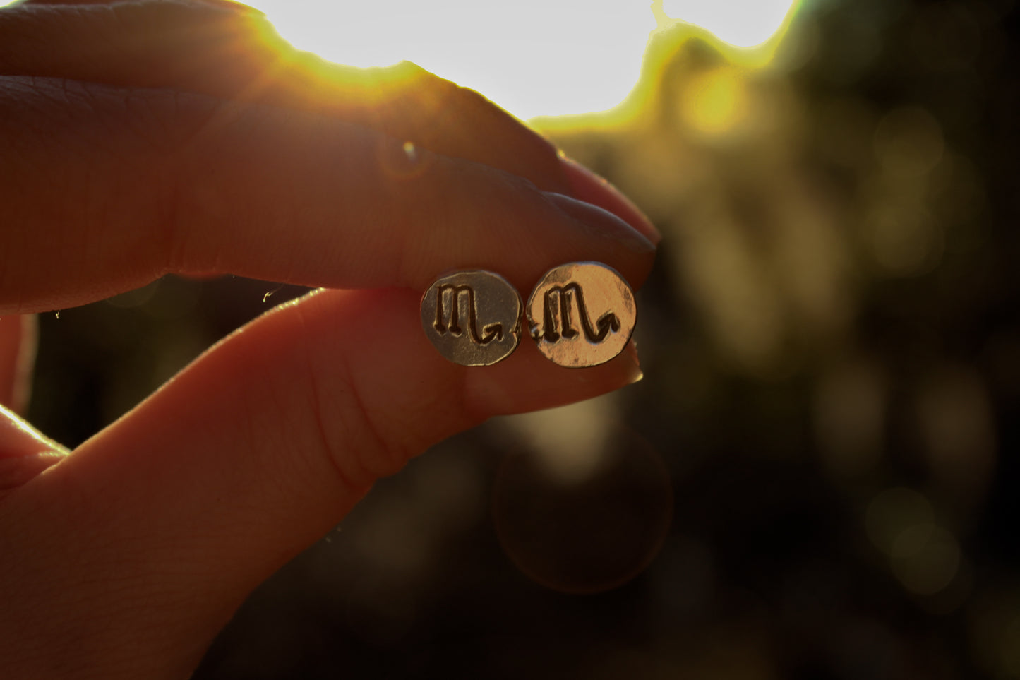 Zodiac Stud Earrings