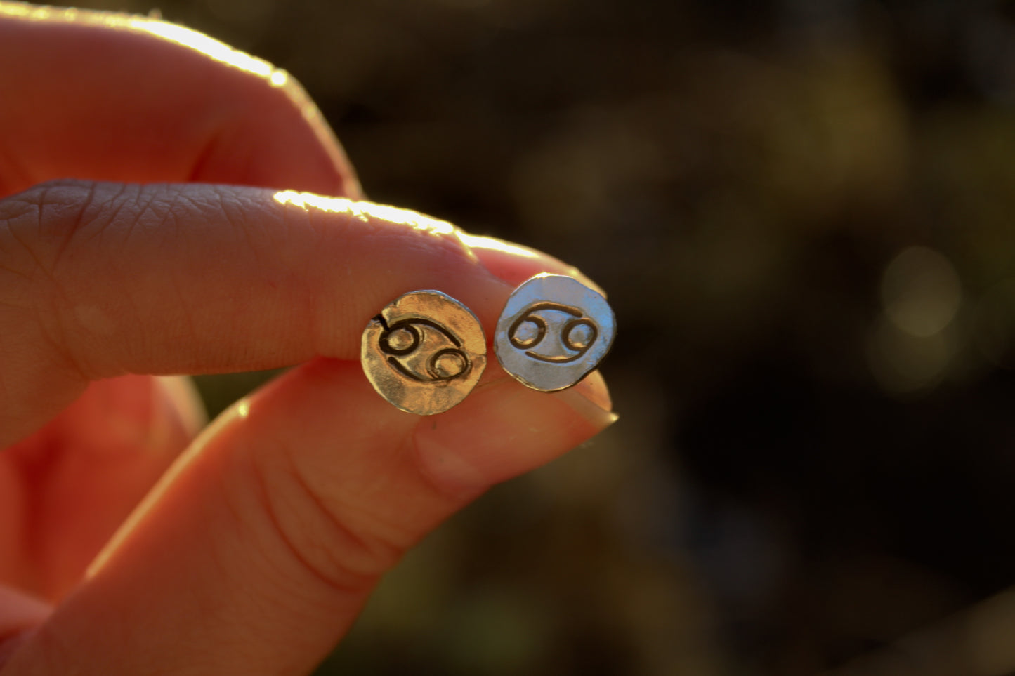 Zodiac Stud Earrings