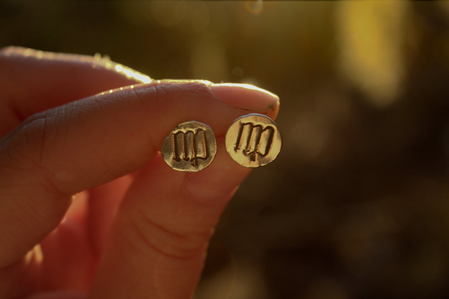 Zodiac Stud Earrings